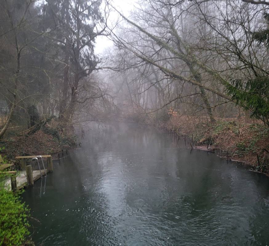 Campingplatz Bergmühle — Photo 4