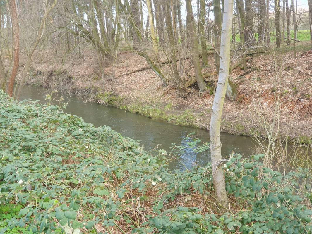 Campingplatz Bergmühle — Campsite in Holle