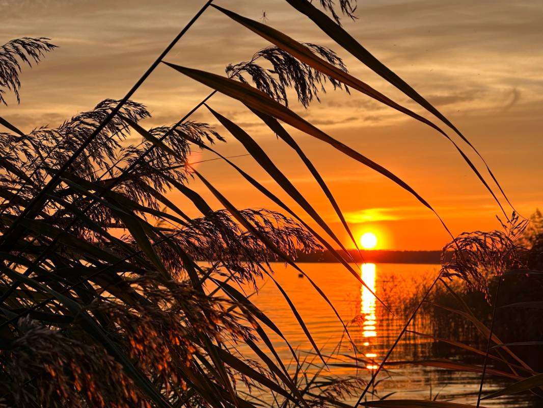 Wohnmobilhafen Inselcamping Werder — Photo 6