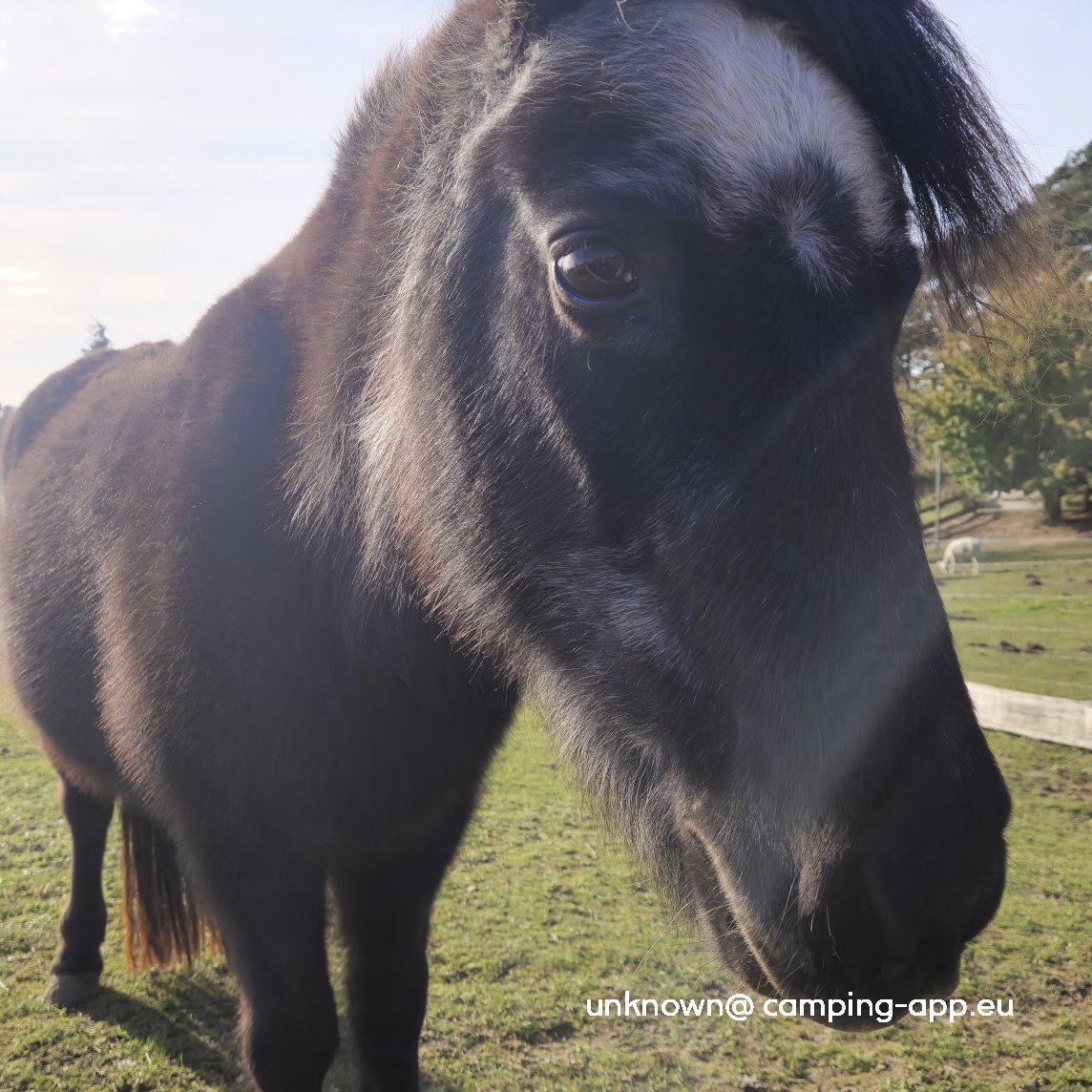 Campingbetrieb Banzelvitzer Berge — Photo 4
