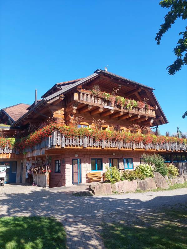 Ferienparadies Schwarzwälder-Hof — Photo 4