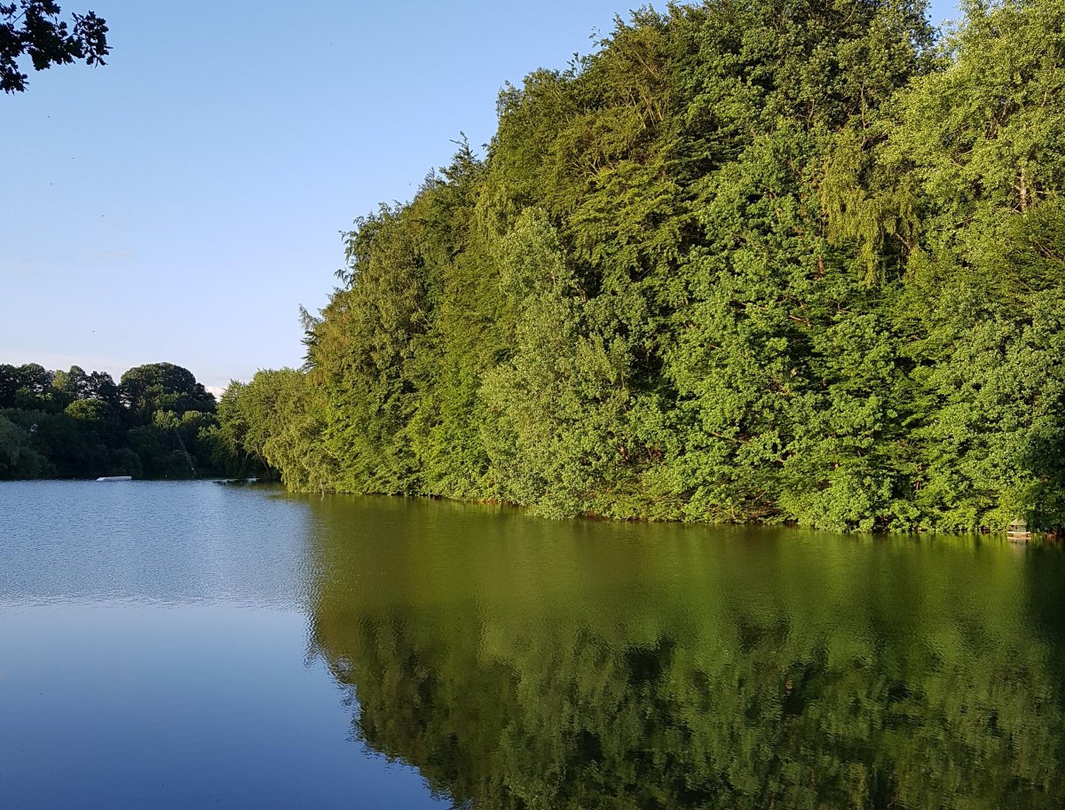Campingplatz SeePark — Photo 2
