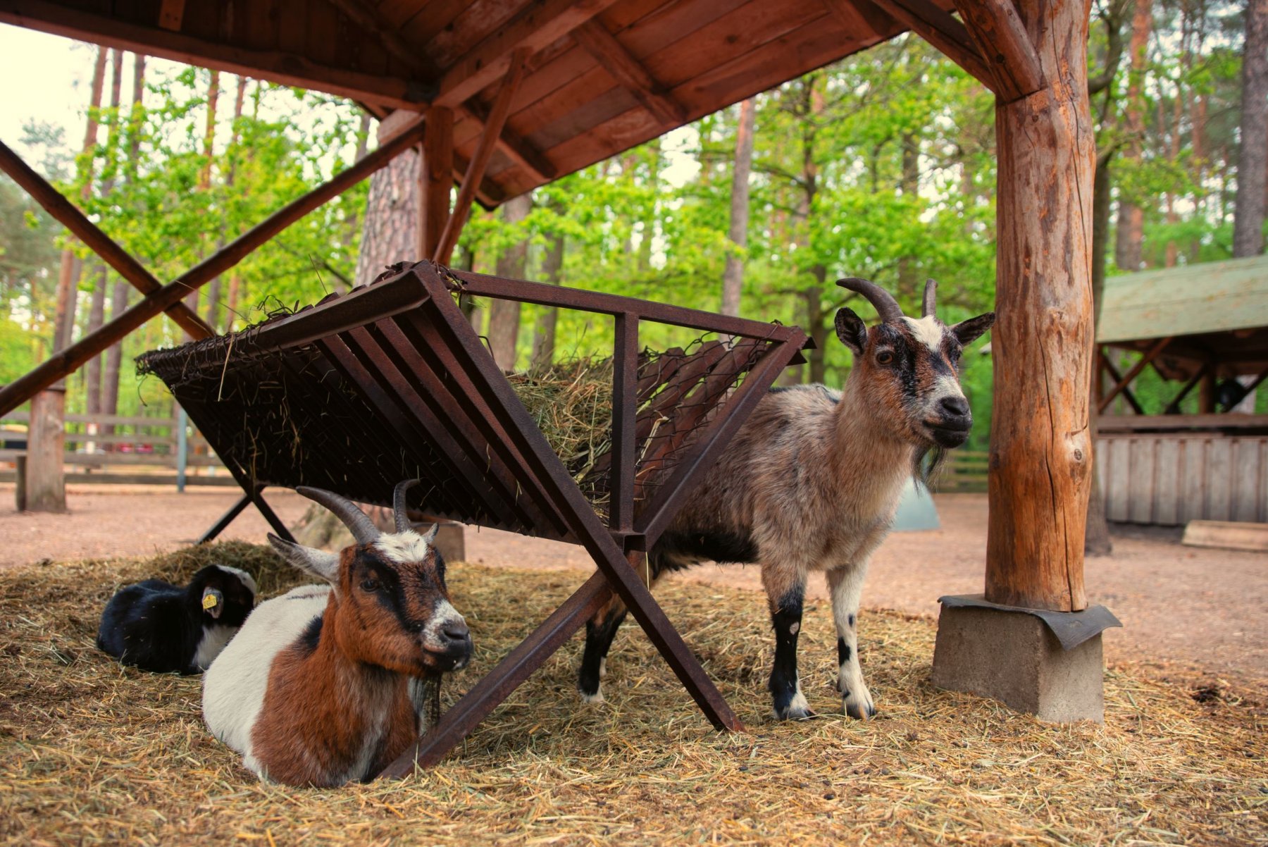 Knattercamping — Photo 3