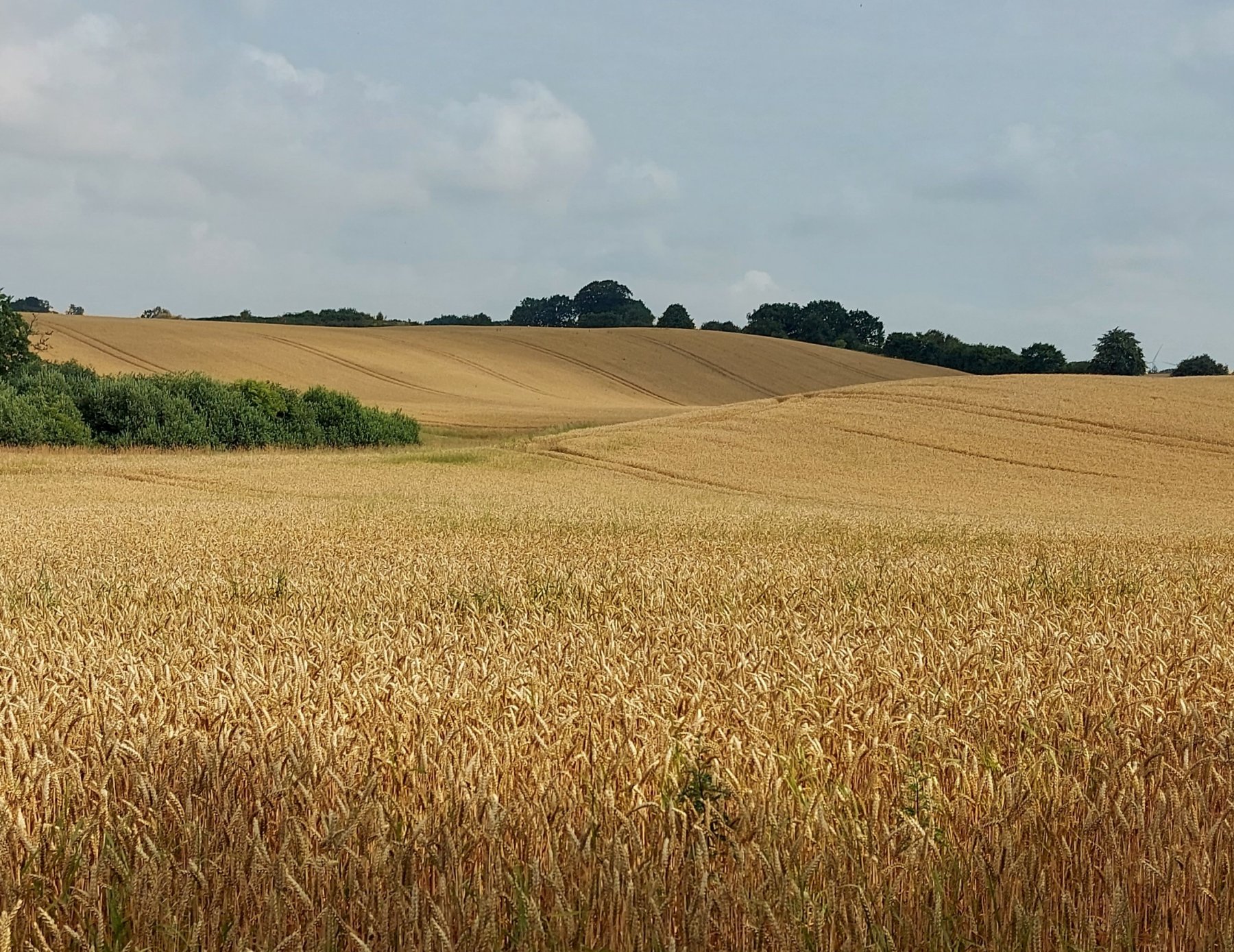 Ostsee-Camping Hemmelmark — Photo 5