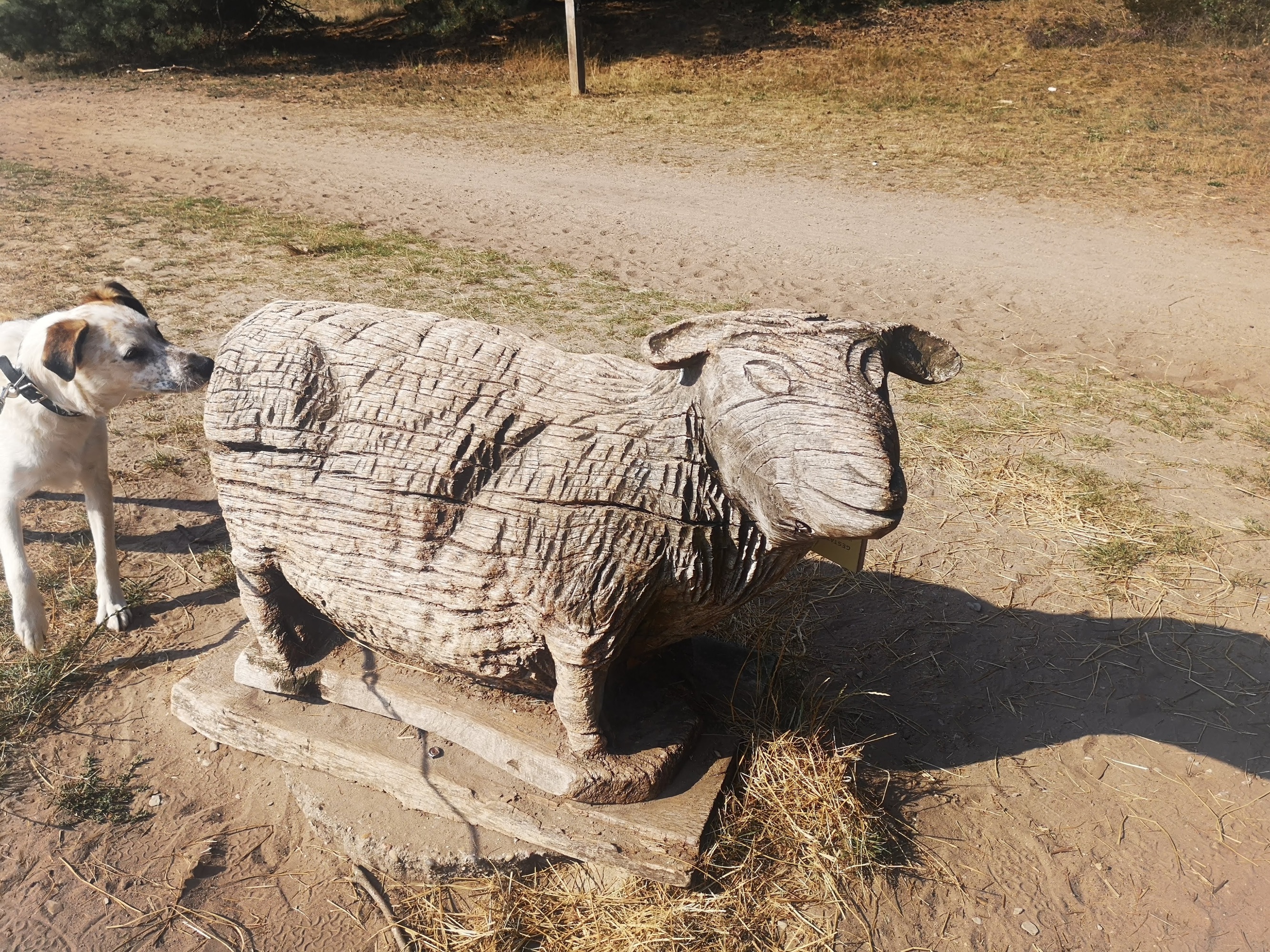 Camping Brunautal — Photo 5