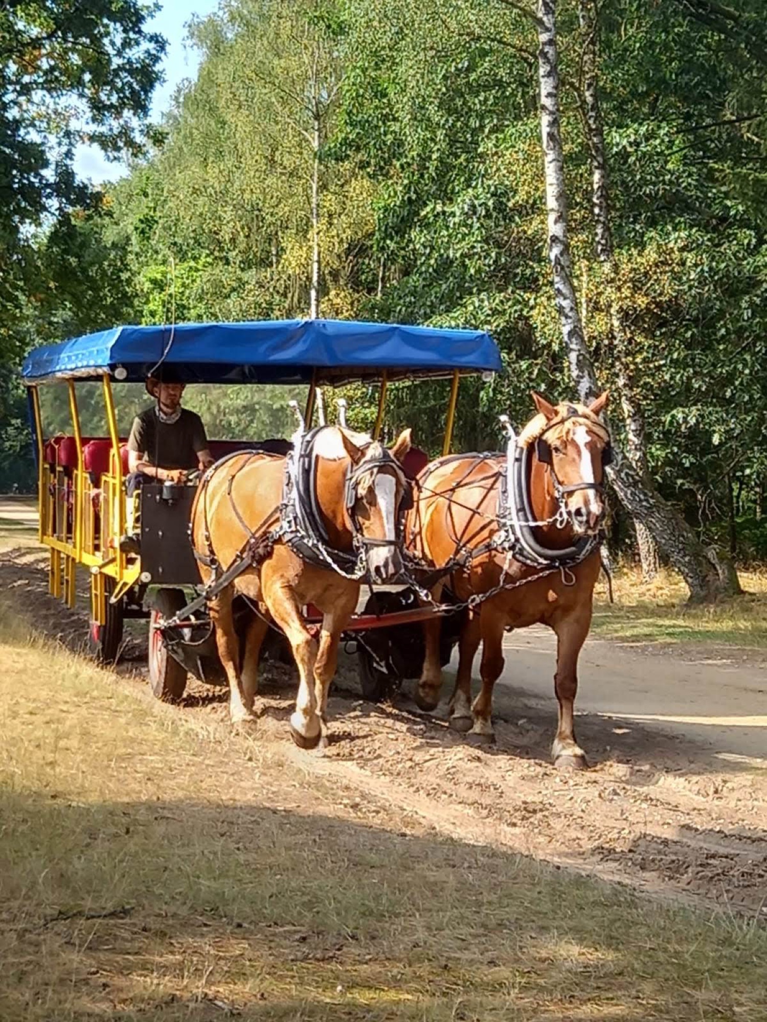 Camping Brunautal — Photo 3