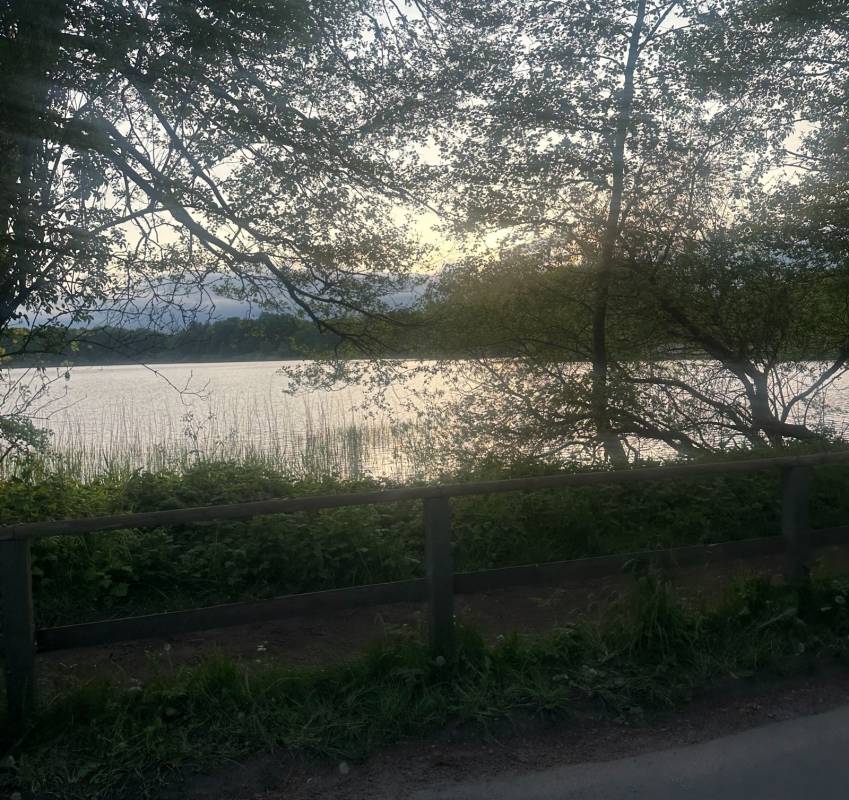 KlüthseeCamp & Seeblick — Photo 2