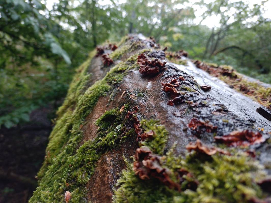 Campingpark Am Gederner See — Photo 2