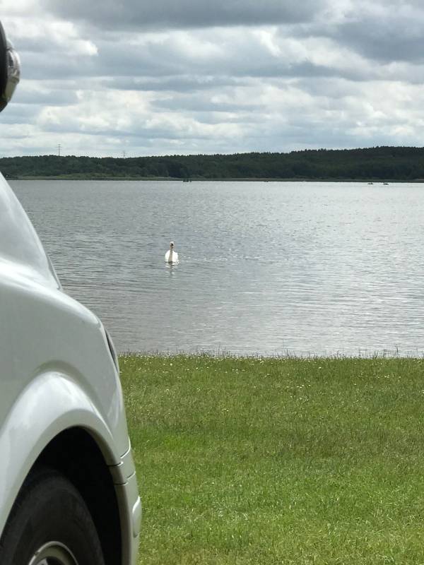 Camping-und Wohnmobilplatz am Zwenzower Ufer — Photo 2