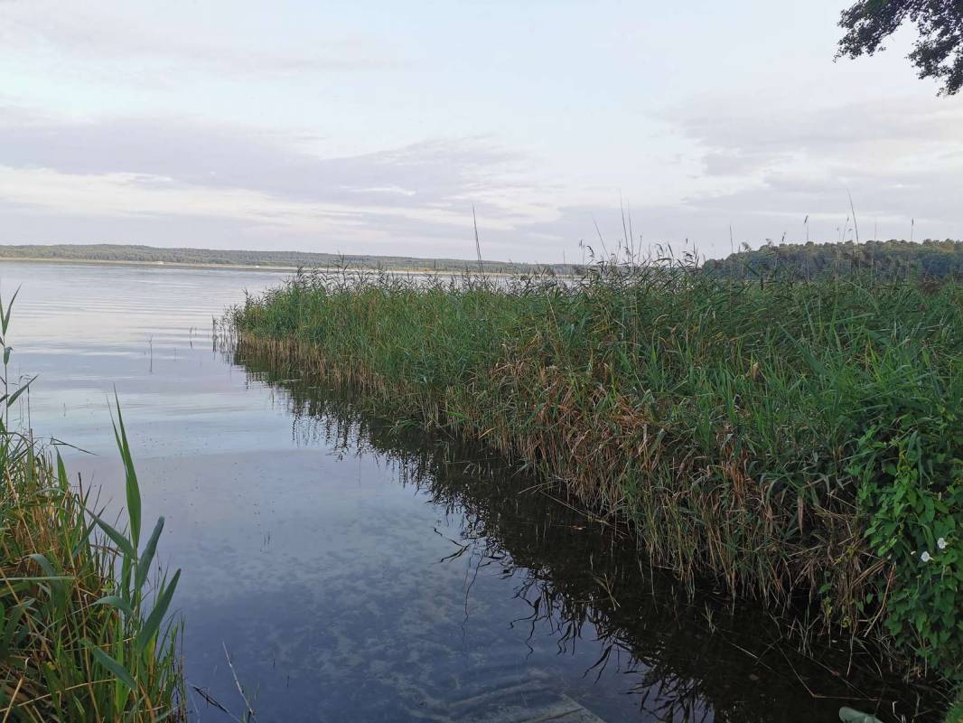Camping-und Wohnmobilplatz am Zwenzower Ufer — Photo 5