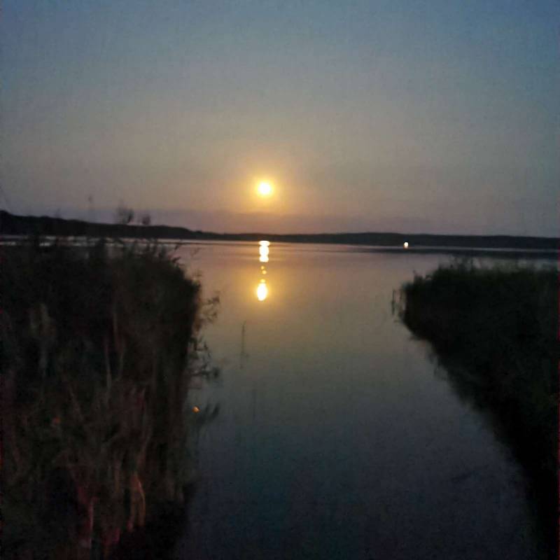 Camping-und Wohnmobilplatz am Zwenzower Ufer — Photo 6