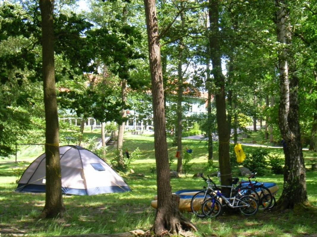 Müritzparadies Camping — Photo 2