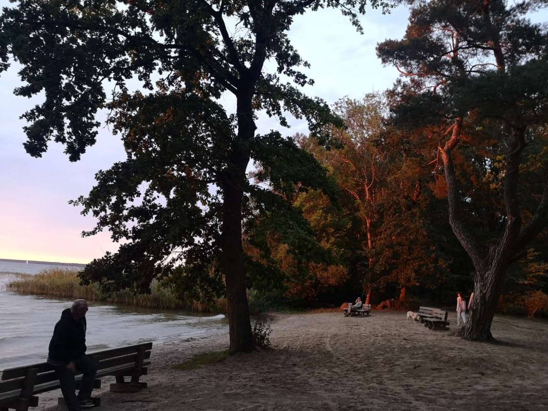 Müritzparadies Camping — Photo 5