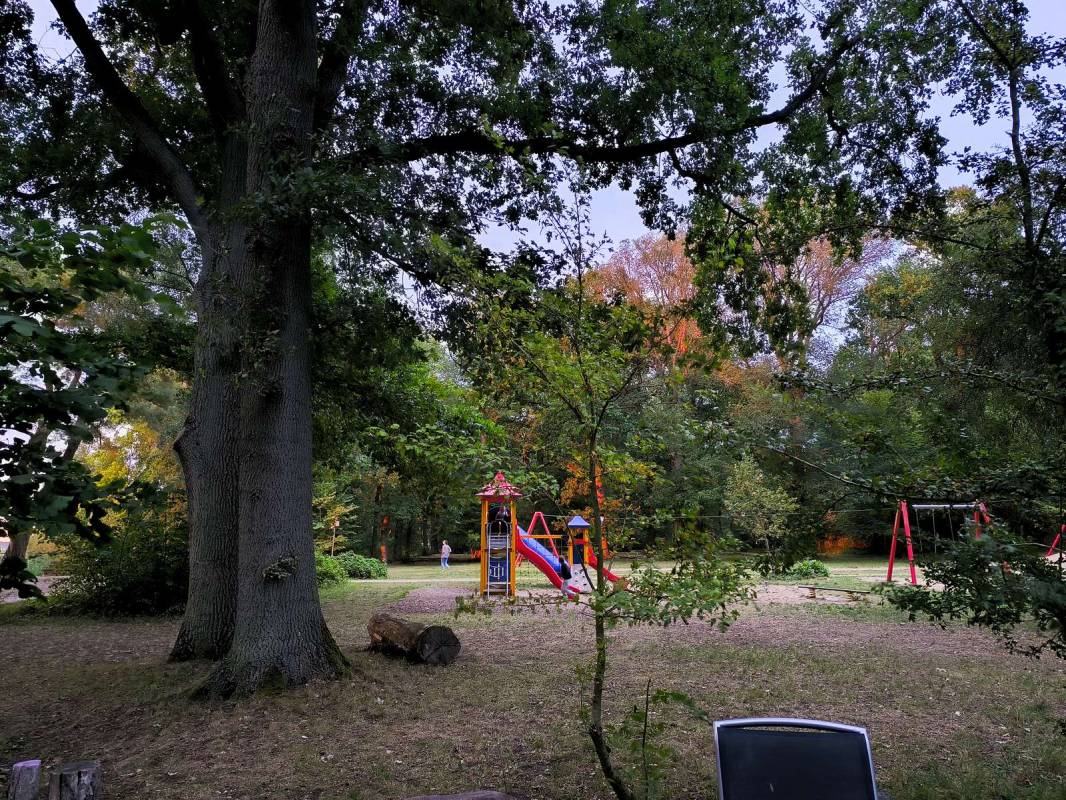 Müritzparadies Camping — Photo 3