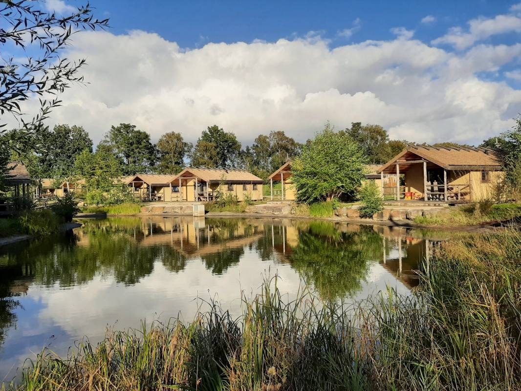 Alfsee Ferien- und Erholungspark — Photo 5