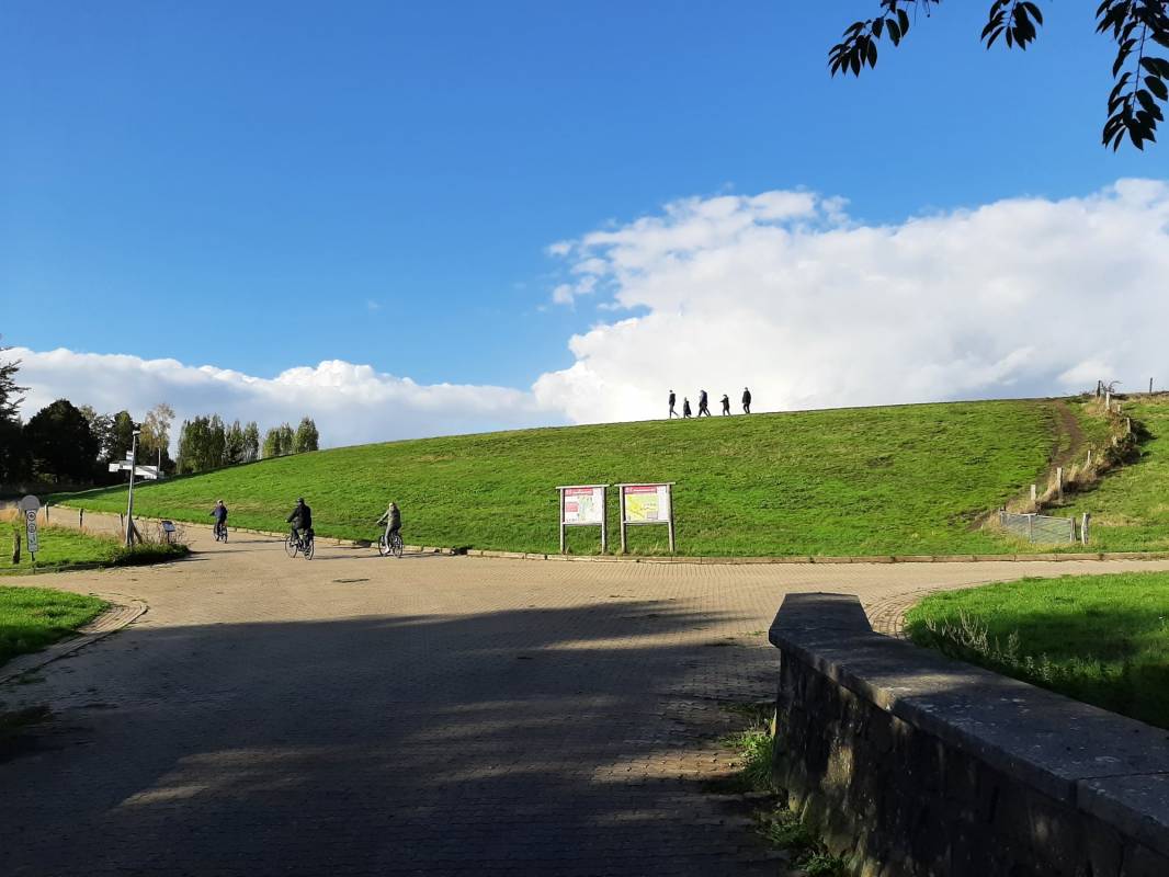 Alfsee Ferien- und Erholungspark — Photo 3