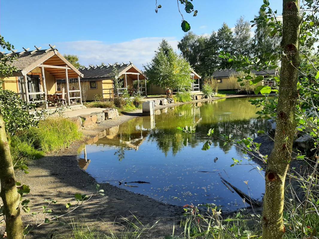 Alfsee Ferien- und Erholungspark — Photo 6