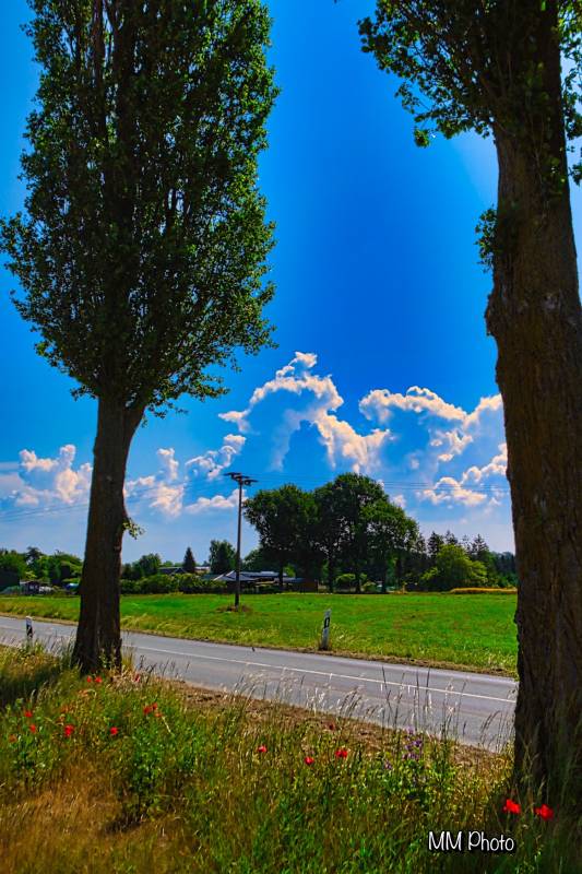 ostseequelle.camp — Photo 5