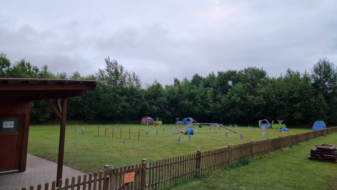 Camping & Ferienpark Falkensteinsee — Photo 4