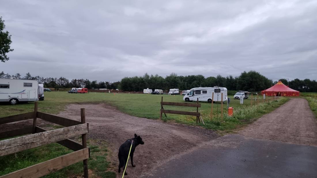 Camping & Ferienpark Falkensteinsee — Photo 2