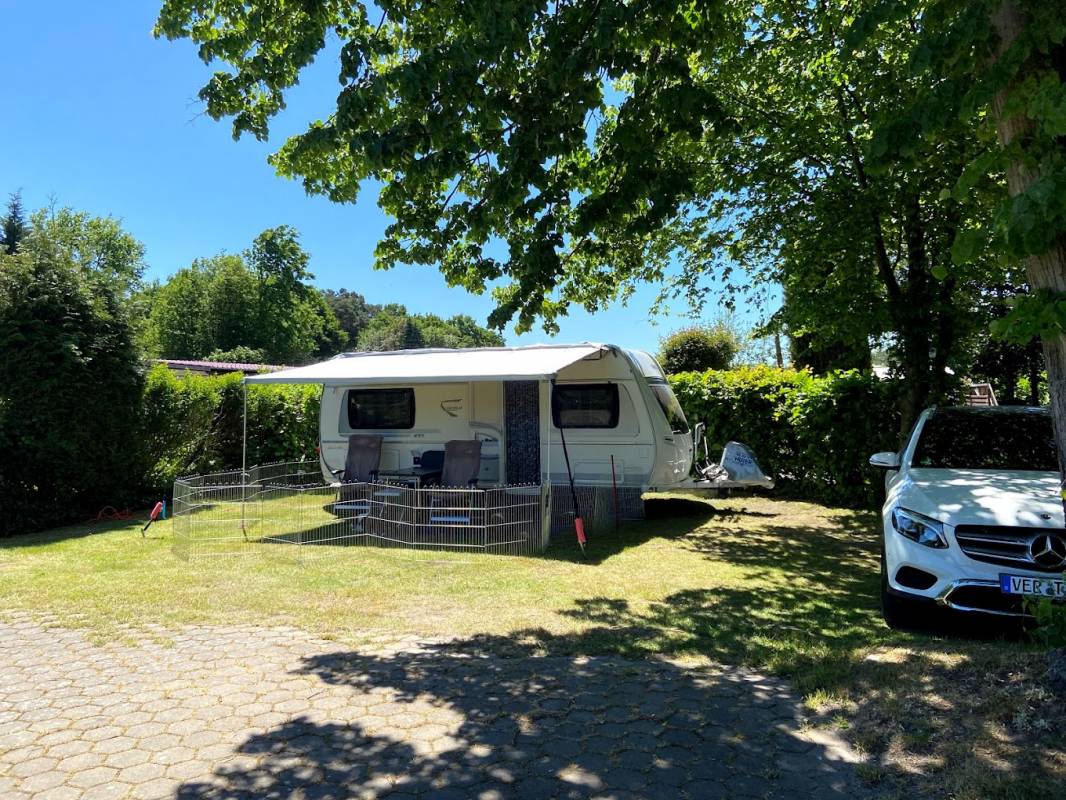 Campingplatz Osterwald — Photo 3