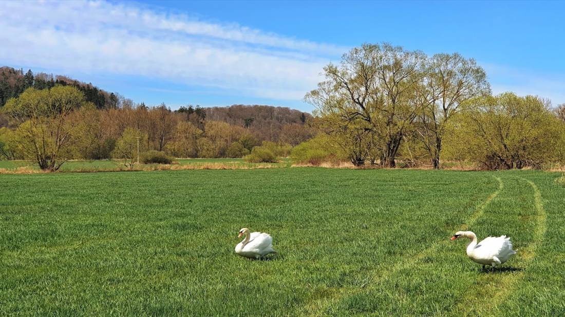 Campingplatz Strandbad Breitungen — Photo 3
