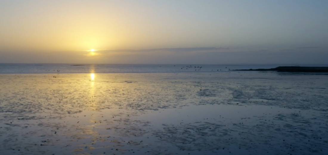 Camping- und Ferienpark Wulfener Hals ***** — Photo 3