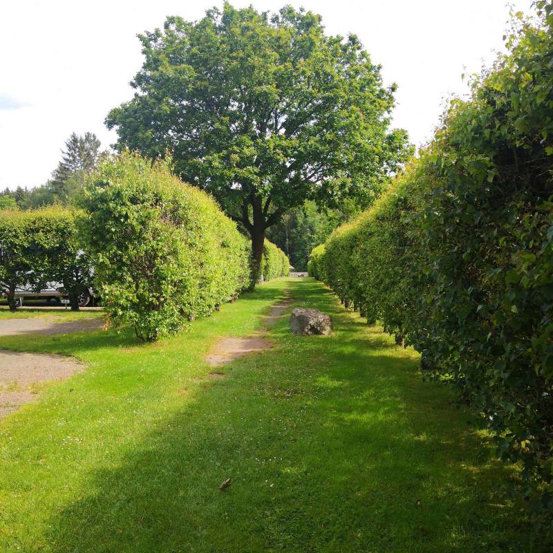 Campingplatz Paulfeld — Photo 3