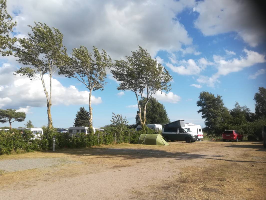 Belt Camping Fehmarn — Photo 5