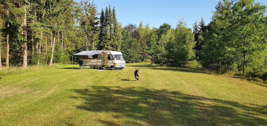 Campingpark Hof Freitag Geestequelle — Photo 2