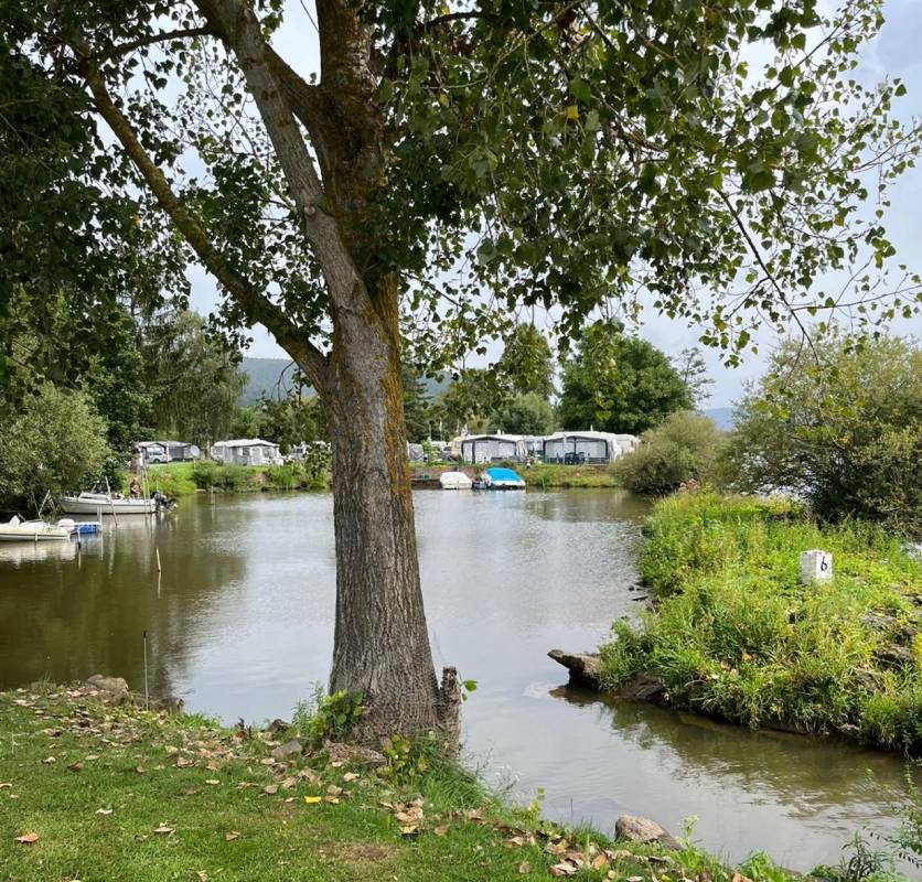 Campingplatz Mainufer — Photo 2