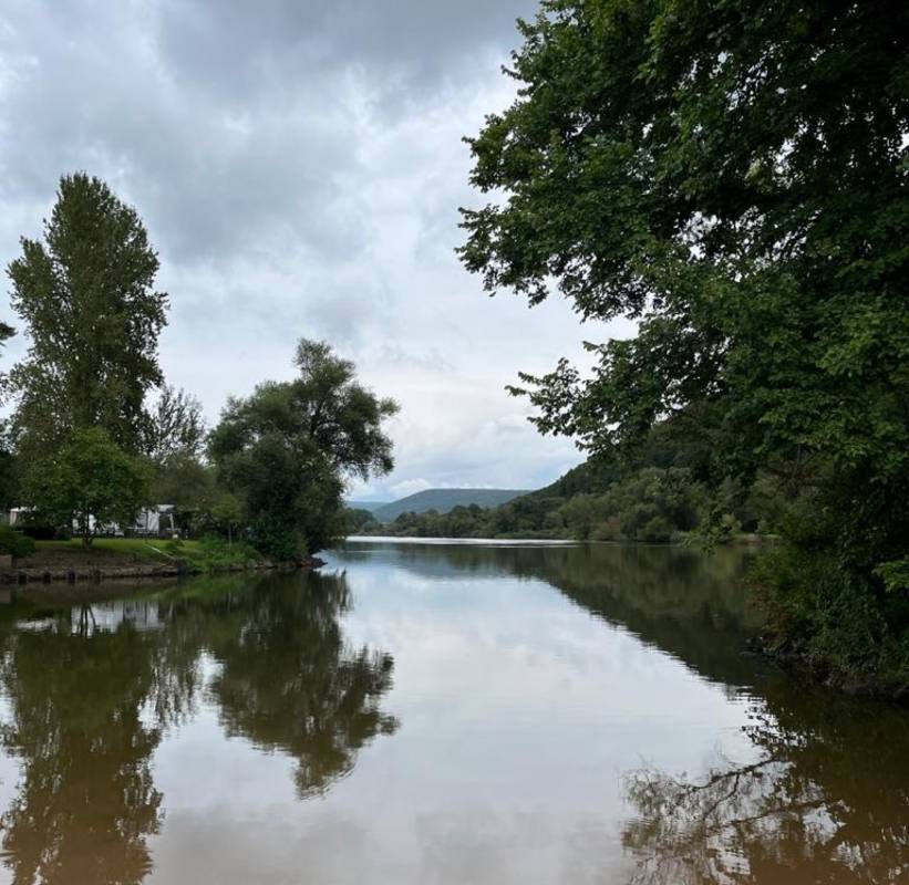 Campingplatz Mainufer — Photo 3