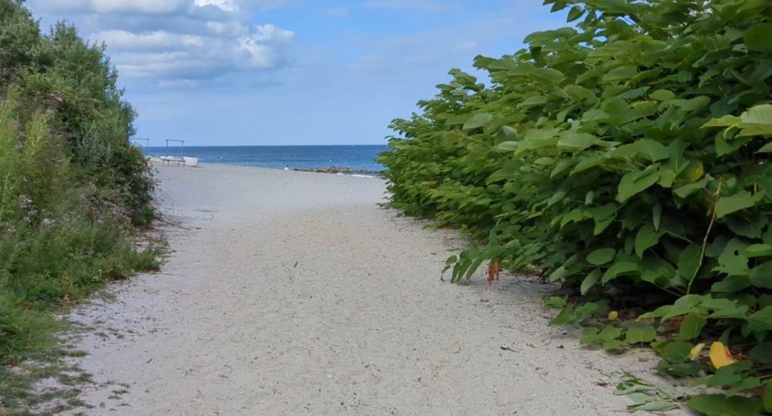 Ostseecamping Familie Heide