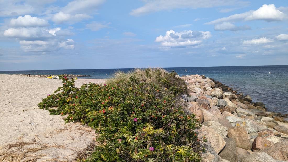 Ostseecamping Familie Heide — Photo 3