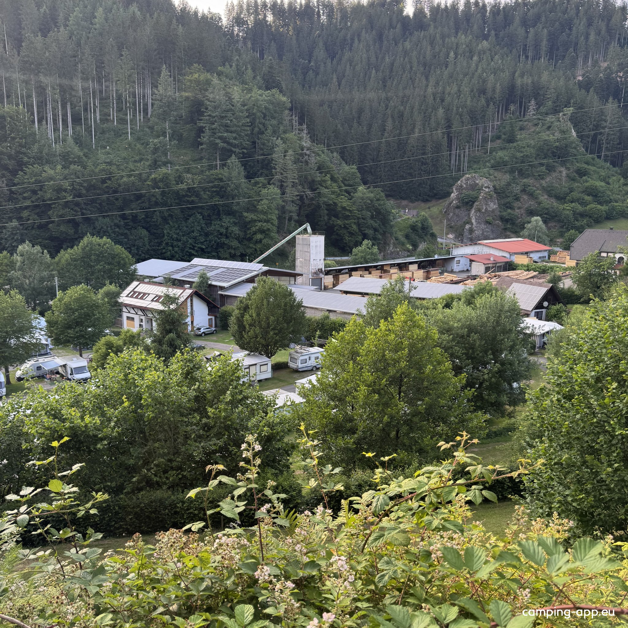 Schwarzwaldcamping Alisehof