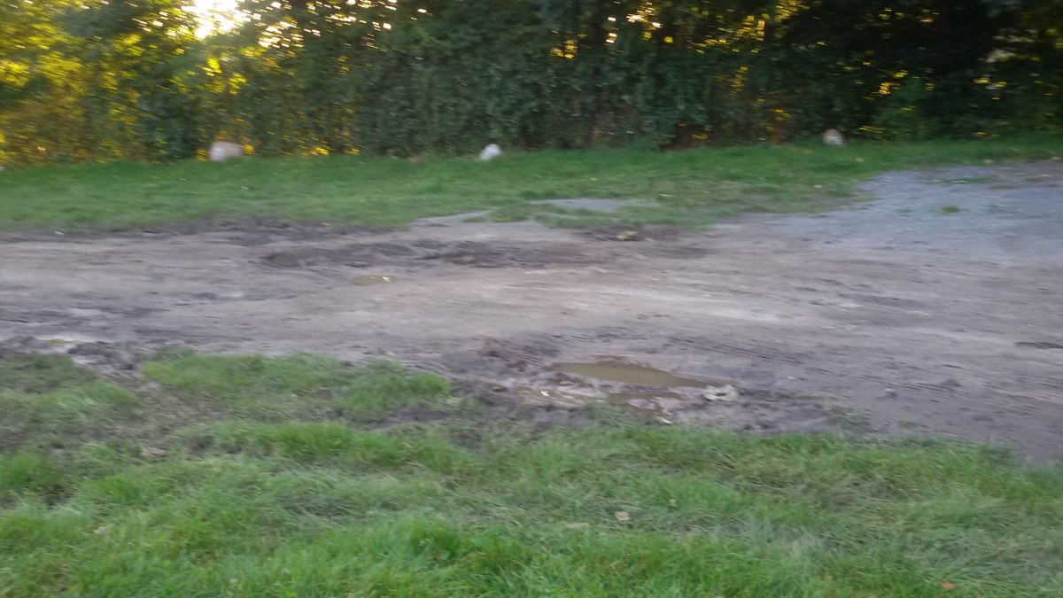 Stellplatz Lohme — Photo 3