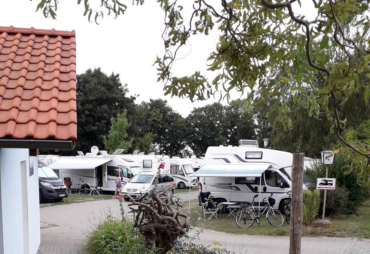 Stellplatz Lohme — Photo 5