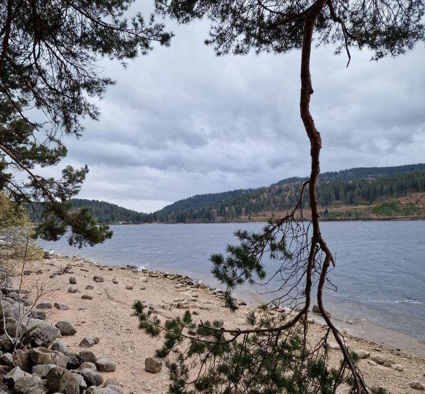 Campingplatz Schluchsee **** — Photo 4