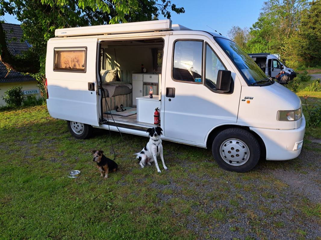 Campingplatz Hof Biggen — Photo 2