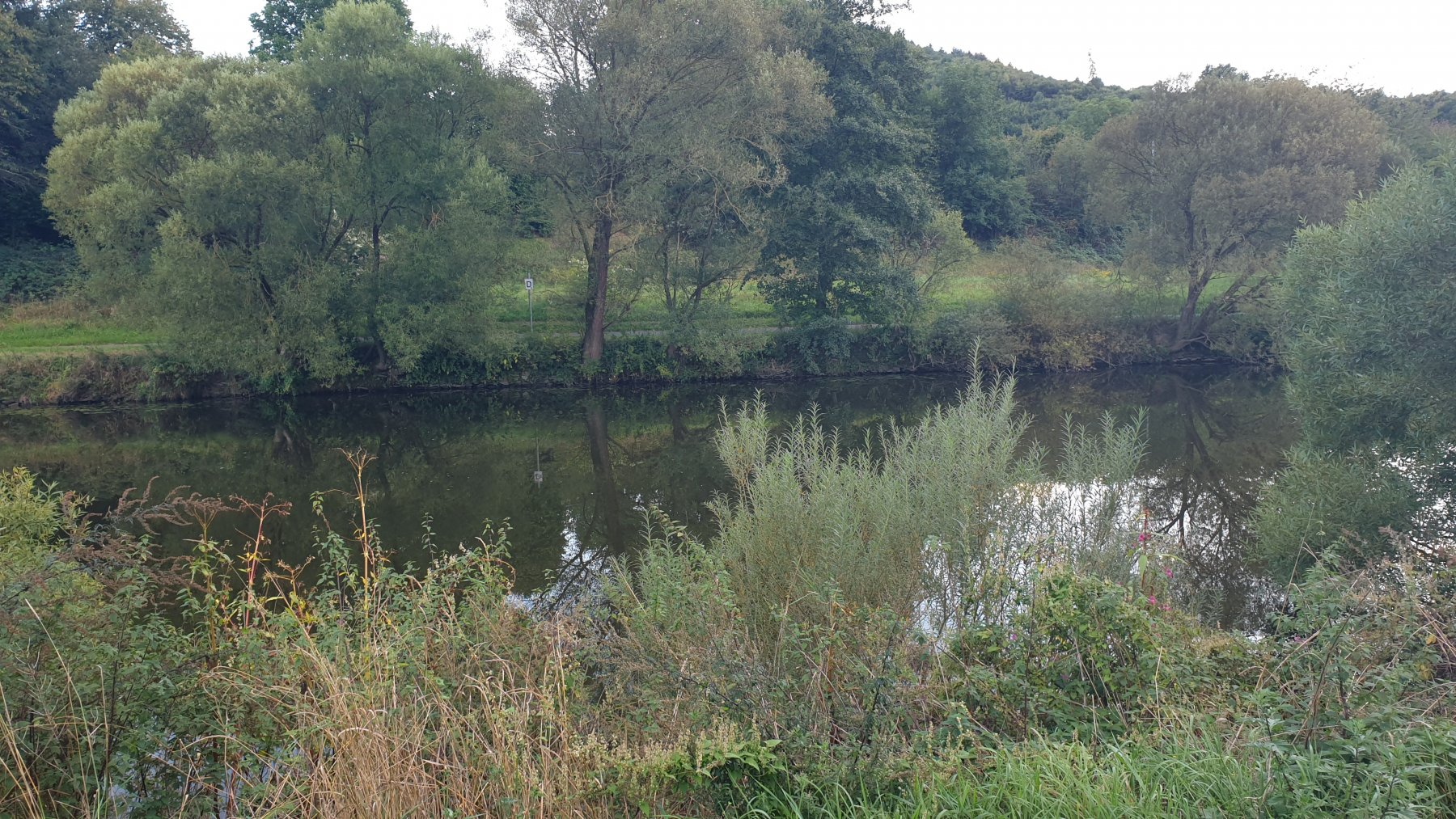 Camping Odersbach — Photo 3