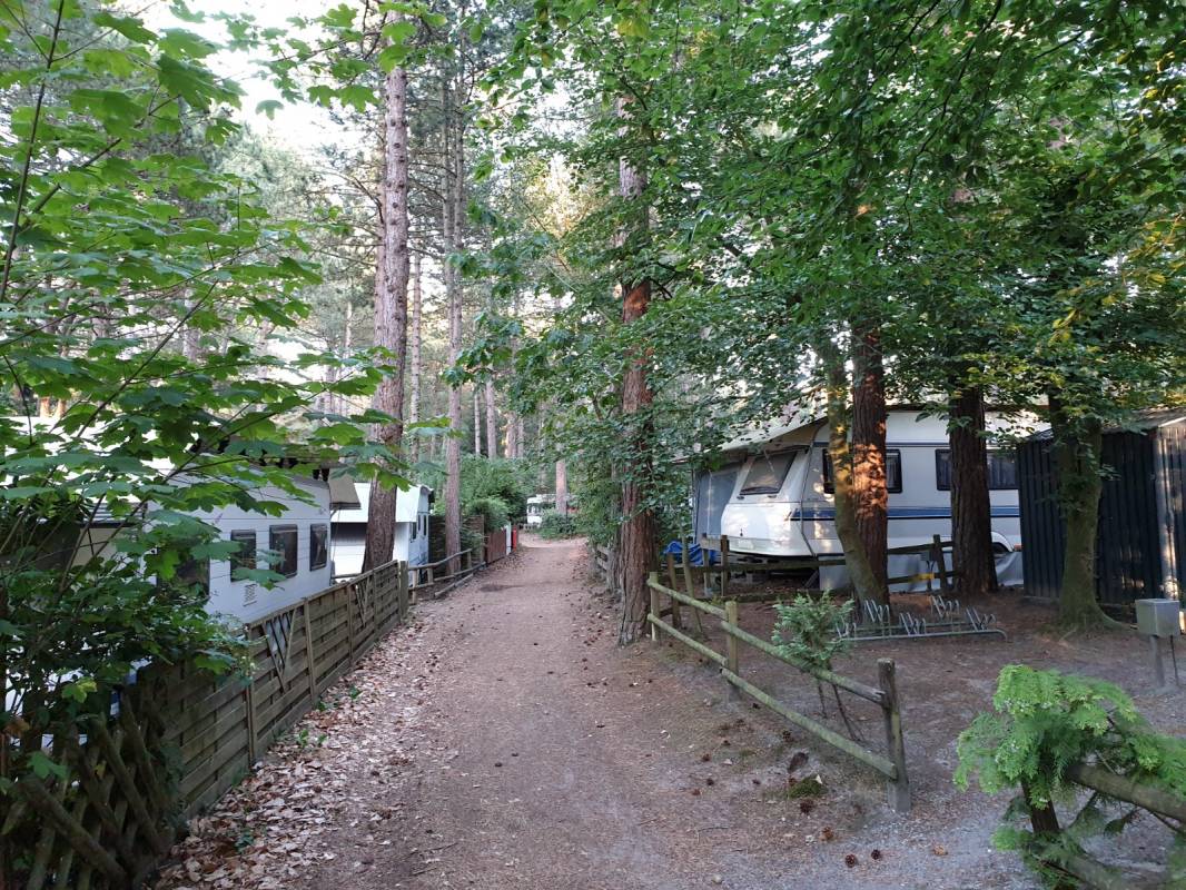 Campingplatz Wernerwald — Photo 2