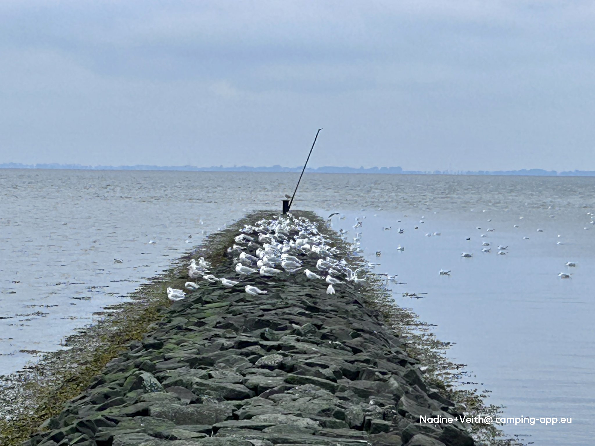 Regenbogen Burhave — Photo 4