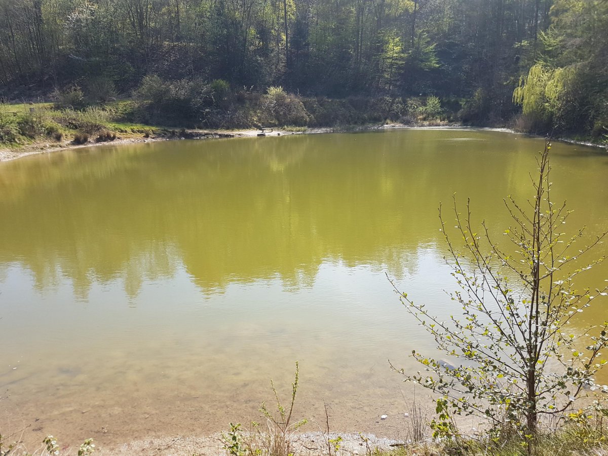 KNAUS Campingpark Wingst ****