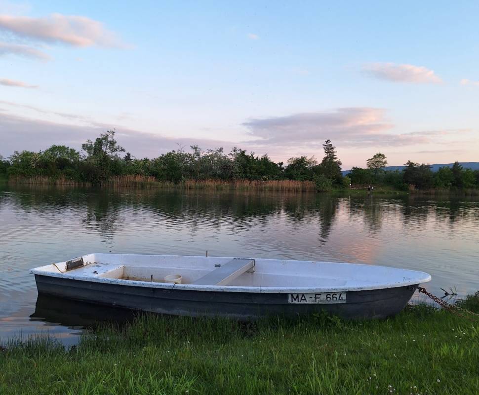 KNAUS Campingpark Bad Dürkheim **** — Photo 4