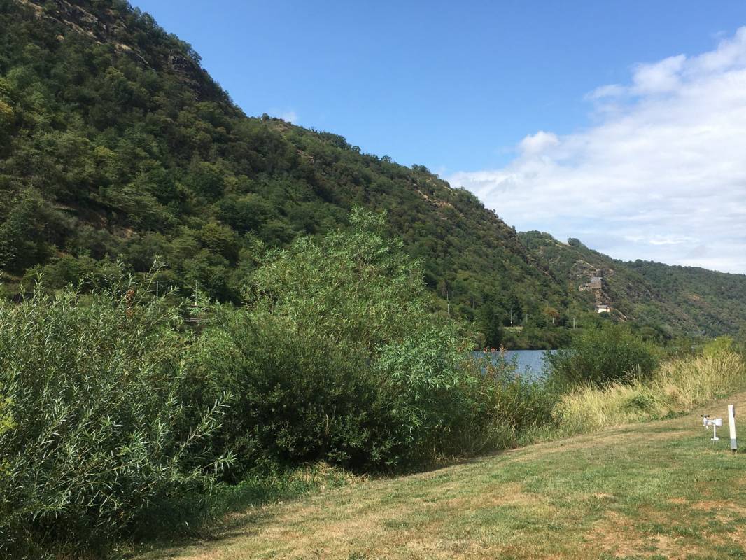 KNAUS Campingpark Burgen/Mosel ****