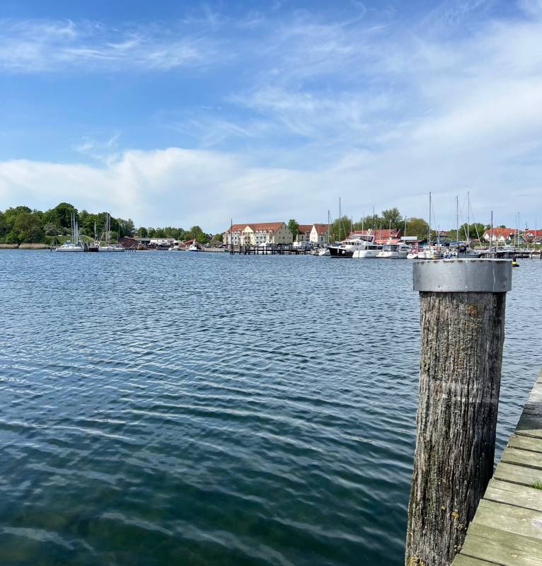 Stellplatz am Poeler Forellenhof Insel Poel — Photo 6