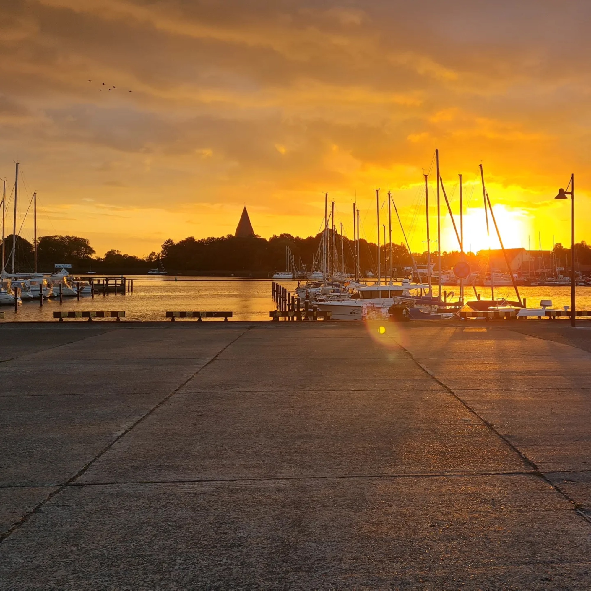 Stellplatz am Poeler Forellenhof Insel Poel — Photo 5