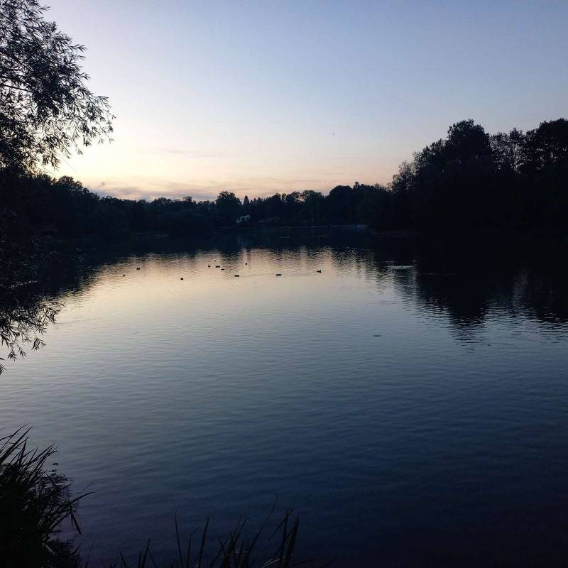 Campingplatz am Schwanenteich — Photo 3