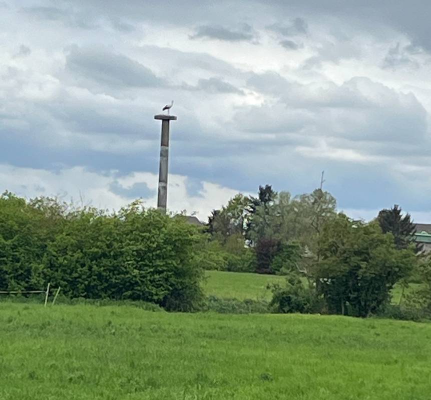 Wohnmobilstellplatz Echzell — Photo 5