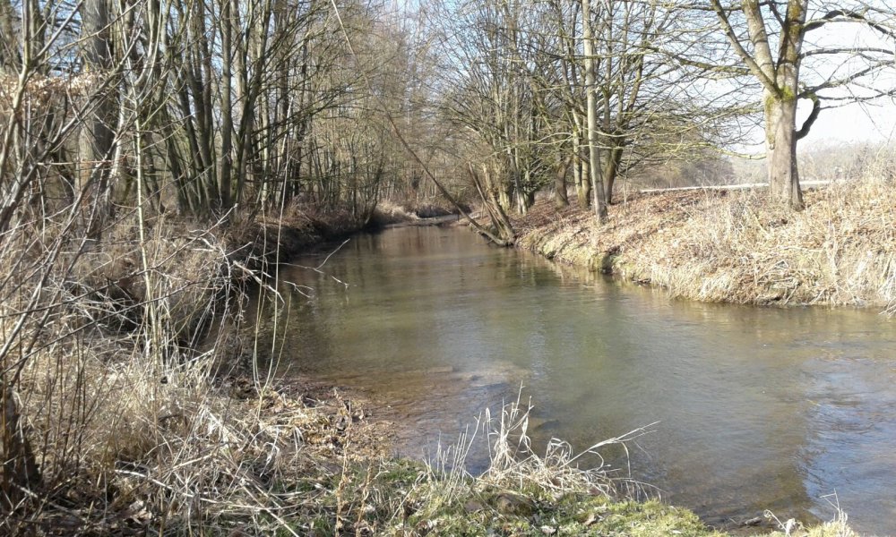 Stellplatz An der Laache (P1) — Photo 2